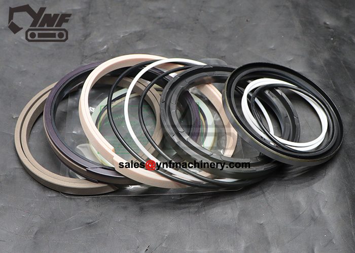 DX225 boom cylinder repair seal kit piston and rod seals