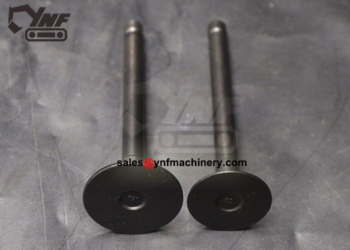V2203 Intake and Exhaust Valve Set YNF18985